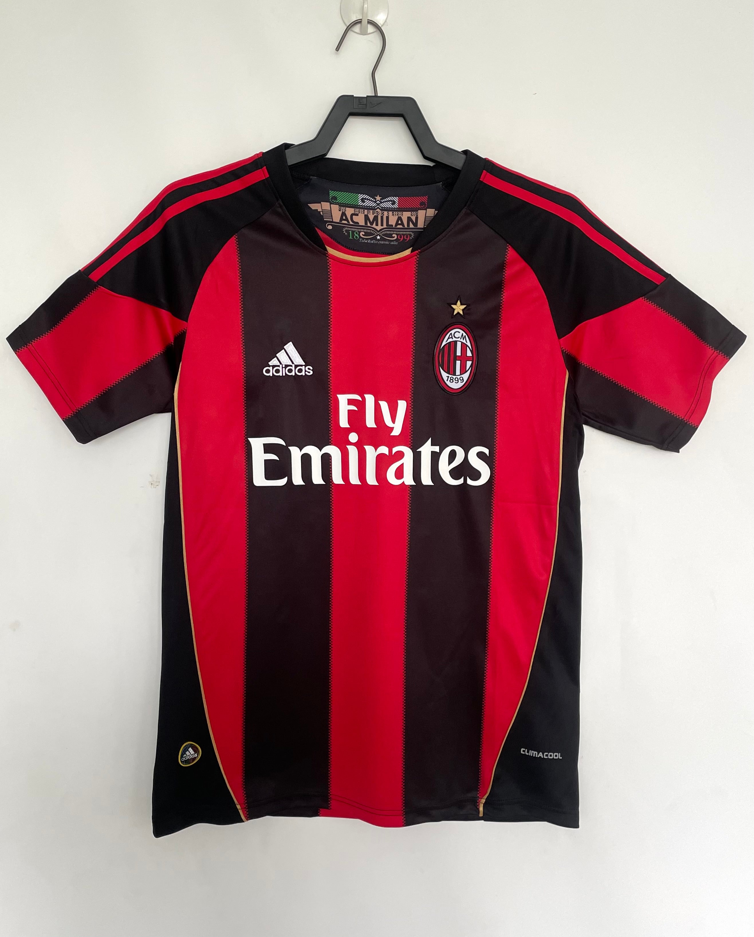 Ibrahimovic Milan 2010/11