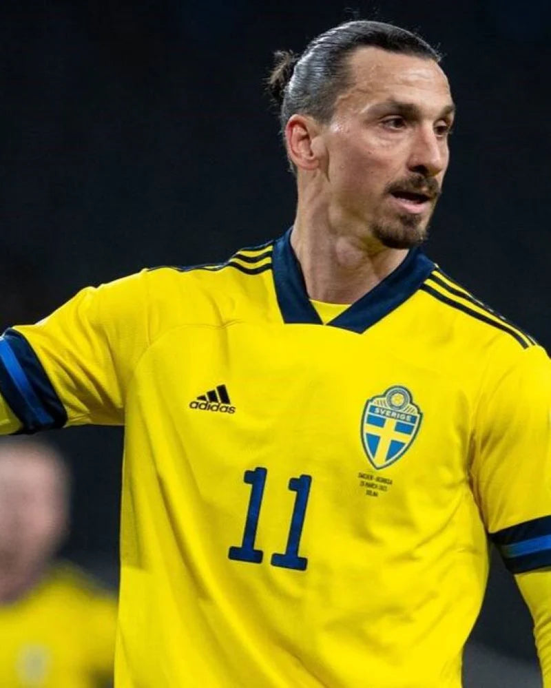 Ibrahimovic - Sweden 2020-2021